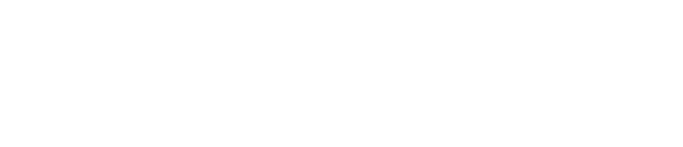 Stihl (2)